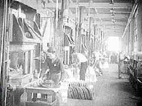 revoluciones científicas y tecnológicas del siglo XX 