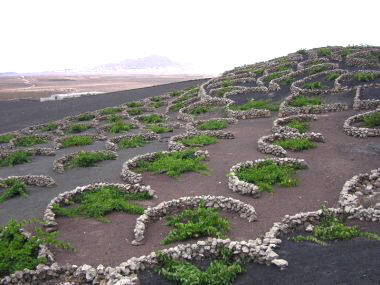 Gerias, en Lanzarote