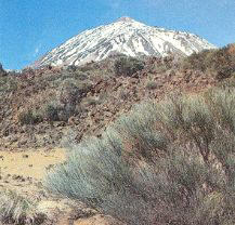 El Teide visto desde las cañadas