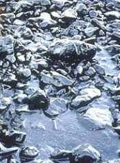 penetración del hidrocarburo 