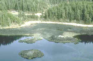 hidrocarburo alcanzando aguas costeras 