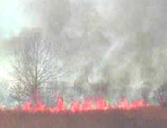 actividades volcánicas e incendios forestales 