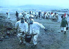 movimiento solidario de voluntarios desplazados a Galicia