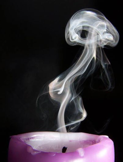 Foto: Curiosidades lingüísticas: ¿De dónde viene la expresión "apaga y vámonos"?

Cuando ya no hay nada más que decir o que hacer, o cuando algo ya está terminado, empleamos esta expresión, que es la versión reducida del dicho "apaga y vámonos, que ya está la misa dicha".

Es opinión general que el dicho procede de un chascarrillo andaluz que, según don José María Sbarbi, tuvo lugar en el pueblecito de Pitres, en La Alpujarra de Granada. Dos sacerdotes cruzaron una apuesta para ver quién decía la misa en menos tiempo, aunque algunos afirman que se trataba de una especie de oposición para acceder a una capellanía militar, oficio que, como se sabe, requiere celeridad y diligencia. Fuera como fuera, el caso es que el primero empezó directamente por el final y dijo "Ite, misa est" ("marchad, la misa está terminada"), a lo que el segundo respondió diciendo al monaguillo "apaga y vámonos" (en referencia a apagar las velas y abandonar la iglesia).