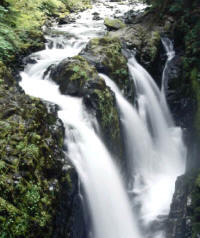 El agua es un elemento compuesto porque sus moléculas están formadas por átomos distintos