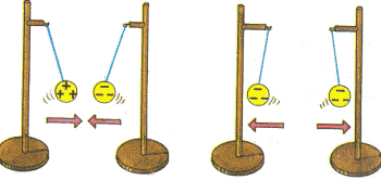 Cuerpos cargados y neutros