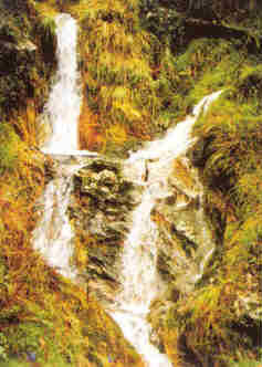 As Neves - Entorno natural en Cerdeira