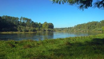Río Miño, a su paso por As Neves