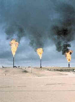 demanda ce recursos naturales