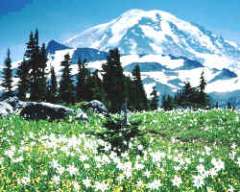 El relieve es un factor influyente en el clima por efecto de la altitud