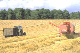 éxodo rural y mecanización del campo