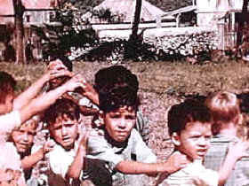 índices de fertilidad