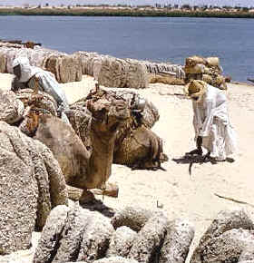 La sal es la única explotación minera tradicional y de importancia en el Chad