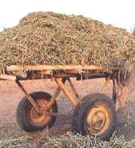 Guinea Bissau, sector industrial