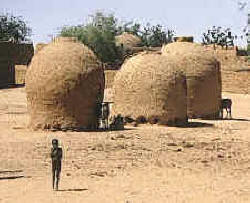 grupos nómadas y sedentarios: pueblo hausa 