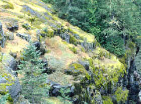 vegetación está condicionada por el relieve 