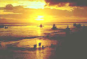 La pesca es una actividad de gran importancia para la alimentación humana