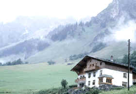 vegetación de montaña 