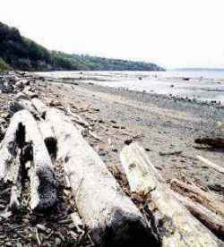 El berma es el cambio de pendiente situado en lo alto de la playa que señala la línea de pleamar normal