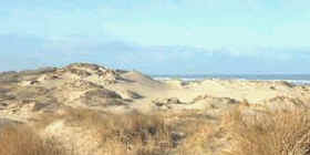 Las dunas de costa son montículos de arenas que se desplazan por el viento mediante saltación
