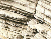 Las capas de las rocas sedimentarias están dispuestas en la horizontal formando los denominados estratos o capas estratificadas