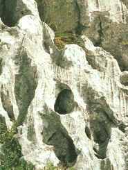 Efecto de la disolución de rocas carbonáticas