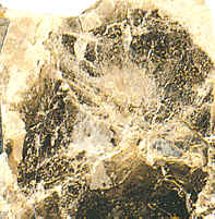 La mica tiene la propiedad de exfoliación en hojas muy delgadas