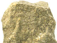 Las peridotitas son rocas plutónicas carentes de cuarzos y feldespatos