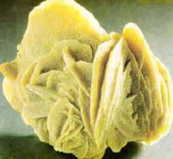 Rosa del Desierto Es una forma típica de presentación de los cristales de yeso en las regiones desérticas