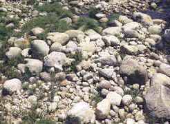 Formación de las rocas sedimentarias: Alteración del tamaño durante el transporte