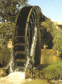 Noria árabe, Museo de la Huerta (Alcantarilla, Murcia, España)