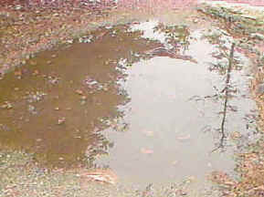 Contaminación de las aguas, sustancia venenosas