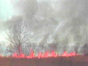 agricultura itinerante destructiva, incendio