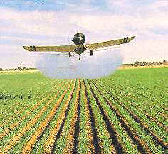 Fumigación de una plantación