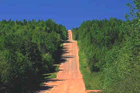 construcción de pistas o carreteras, deforestación, industria maderera