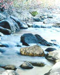 Contaminación de las aguas