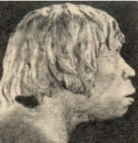 ANTEPASADO: Retrato hablado del "Hombre de Piltdown", denominado así en honor del antropólogo que reunió sus restos encontrados en Europa.