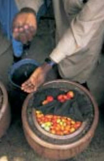 SOBRE LAS  INVENCIONES Y PATENTES