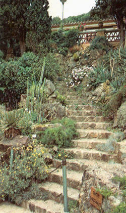 Escalinata en el camino Carlos Faust