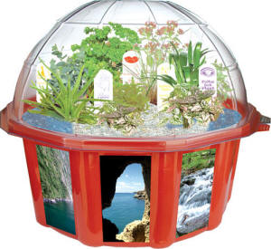 Ilustración de un pequeño jardín en una urna 