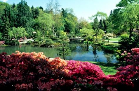 El jardín y los espacios verdes