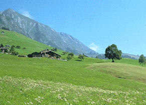 Algunos adjetivos calificativos que indican colores, tienen una sola terminación de género, ejemplo: hierba verde, cielo azul o montaña gris.