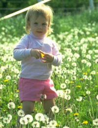 "Paula pasea por el campo". Por el campo es un complemento circunstancial que expresa el lugar donde sucede la acción. Está constituido por un sintagma preposicional