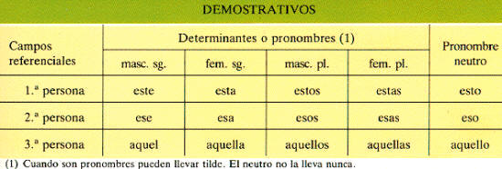 Los demostrativos sitúan al nombre en los campos de referencia de las personas gramaticales