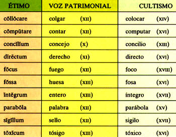 Evolución de las palabras latinas