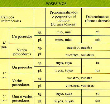 Los posesivos indican posesión o pertenencia, referida a una de las tres personas gramaticales.