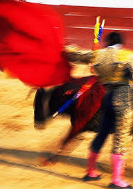 La especialización y la generalización son aspectos contrapuestos del cambio. "Lidiar", por ejemplo, se especializa en el lenguaje de la tauromaquia.