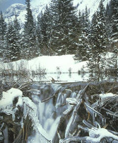 "Hace frío, está nevando", es una frase compuesta pero sin estar unida por ninguna conjunción, sino por una coma. Éste es el caso de la yuxtaposición, también llamado en retórica asidentón; el caso contrario sería el polisidentón o exageración de conjunciones.