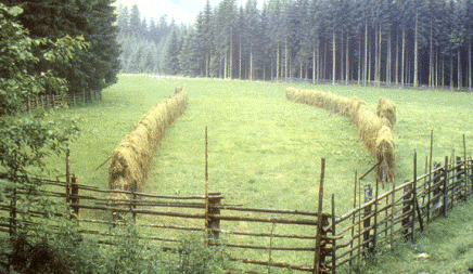 Típico paisaje gallego, evocador de la floreciente lírica Galaico-portuguesa
