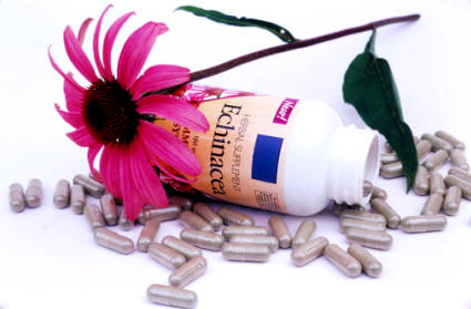 La Equinacea (Echinacea angustifolia), es muy útil para resfriados y variadas infecciones. Suele presentarse en cápsulas, tabletas o tincturas